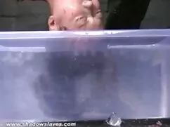 Pháp trai đụ trai Mo ...