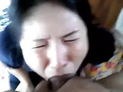 Em sẽ chăm sóc của p ...